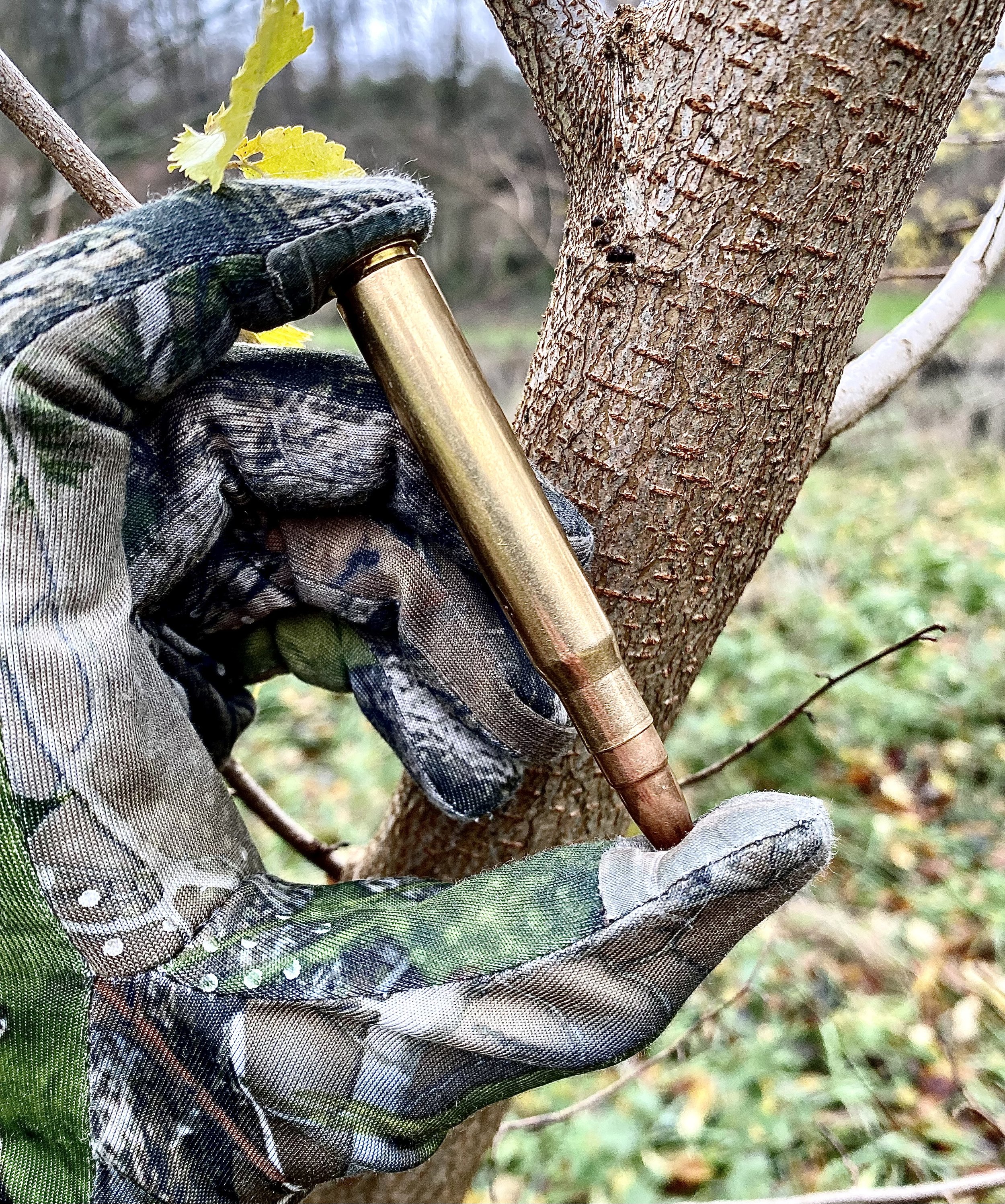 Is the 8x64S cartridge the best all around hunting cartridge